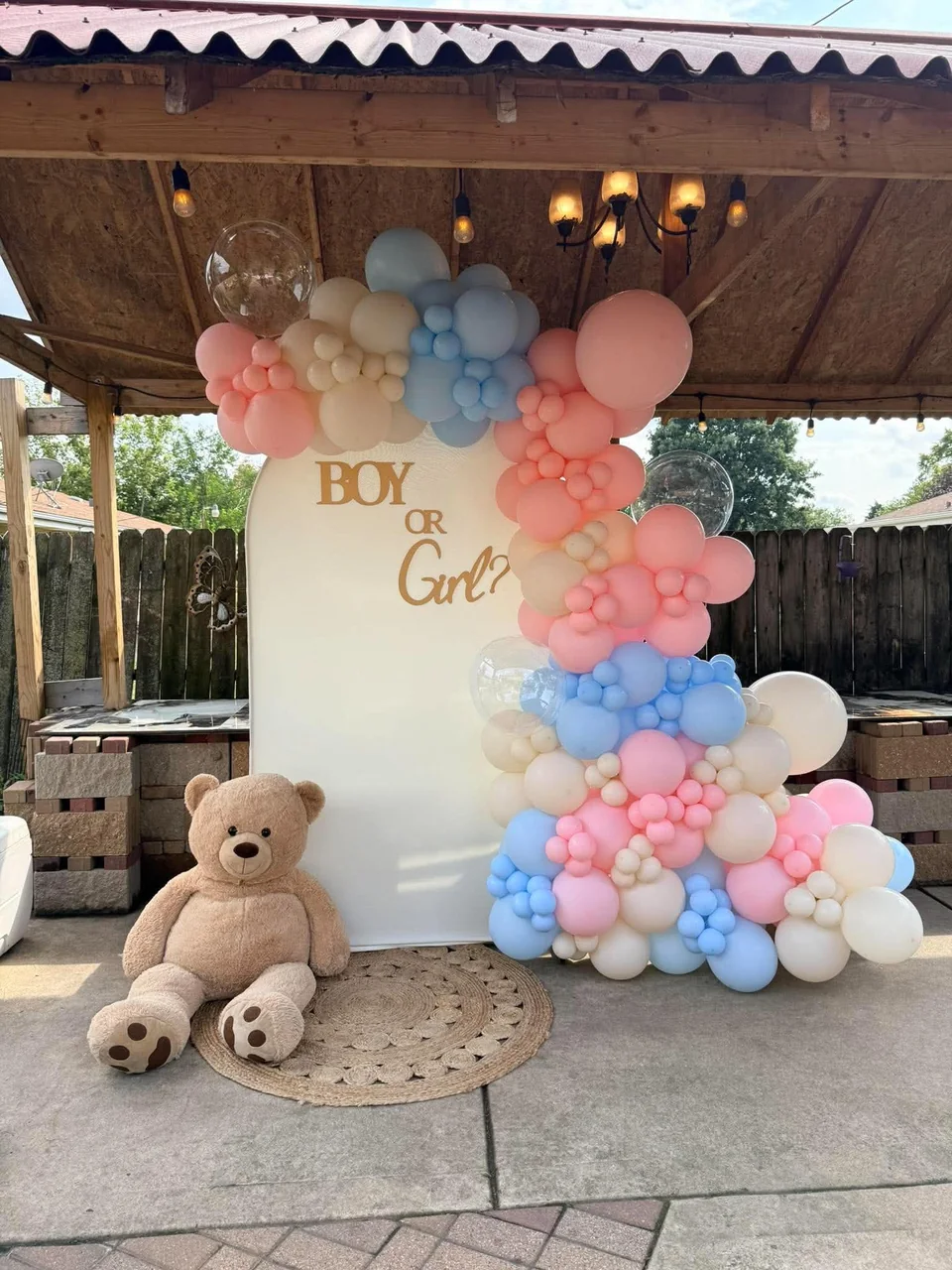 A Boy or Girl backdrop with pastel pink, blue and cream balloons and a teddy bear